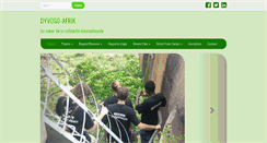 Desktop Screenshot of dyvoso-afrik.org